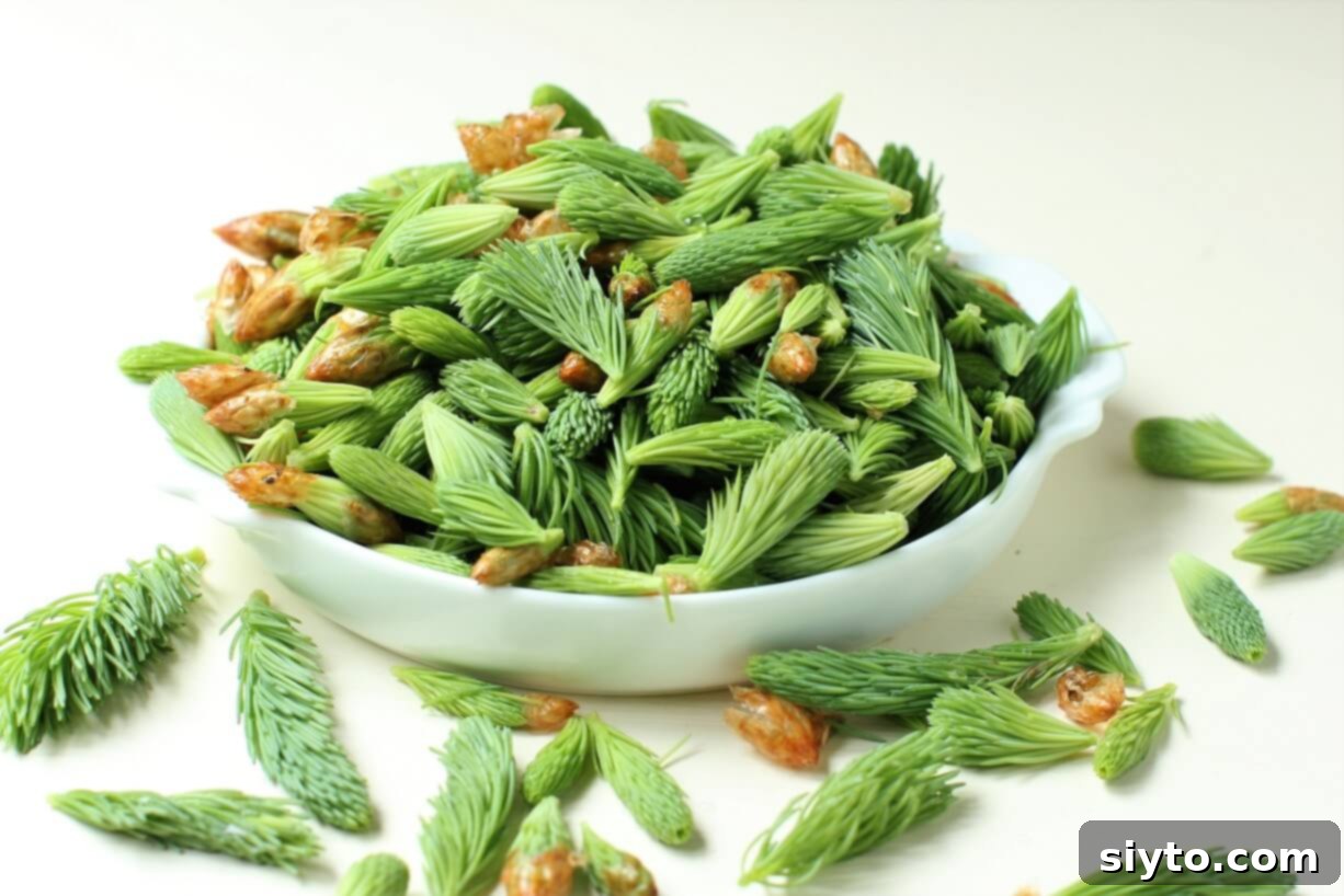 a bowl full of fresh picked spruce tips of all sizes