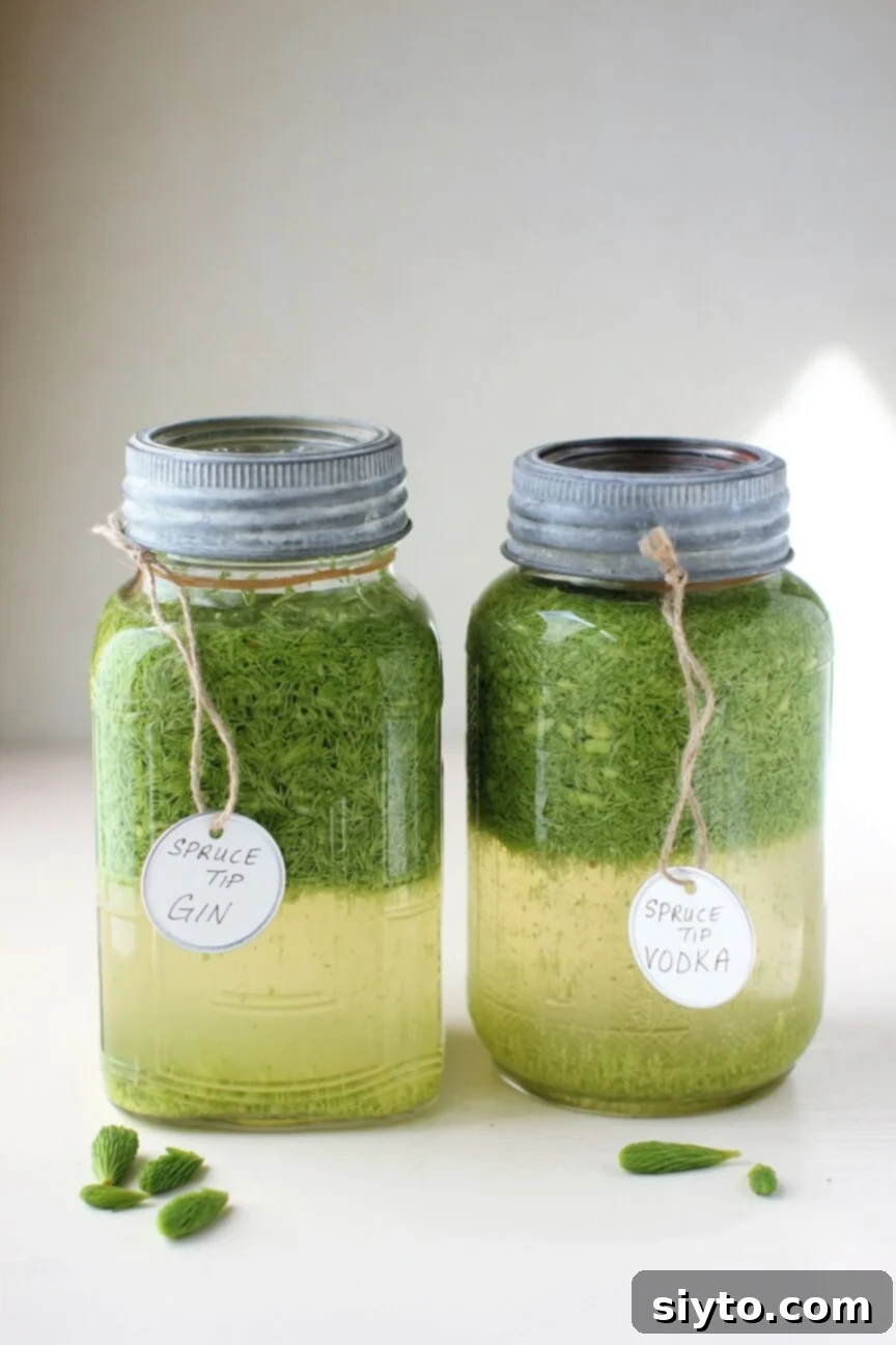 two jars of chopped spruce tips in spirits to make Spruce Tip Liqueur