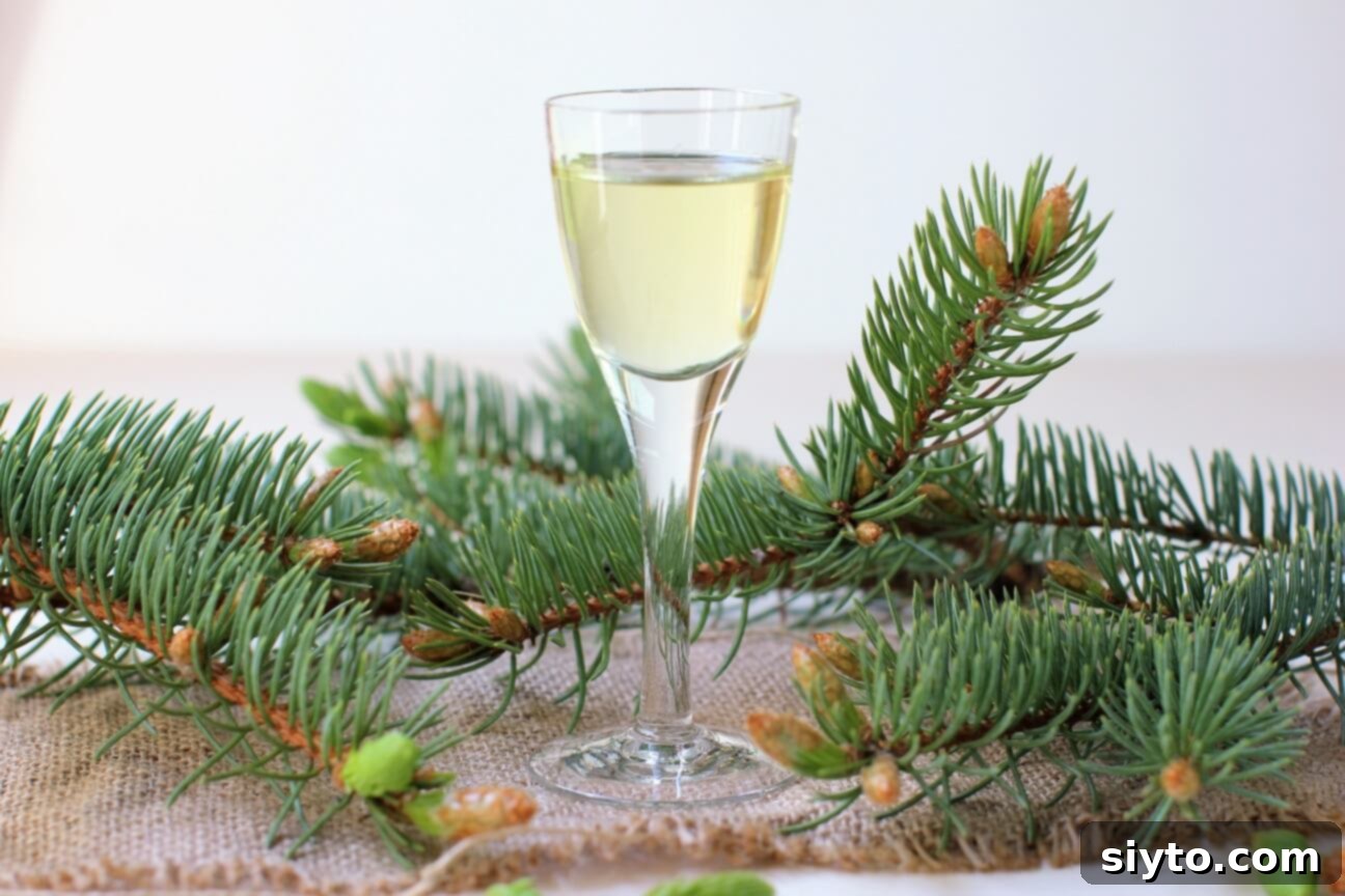 a little stemmed liqueur glass of spruce tip liqueur
