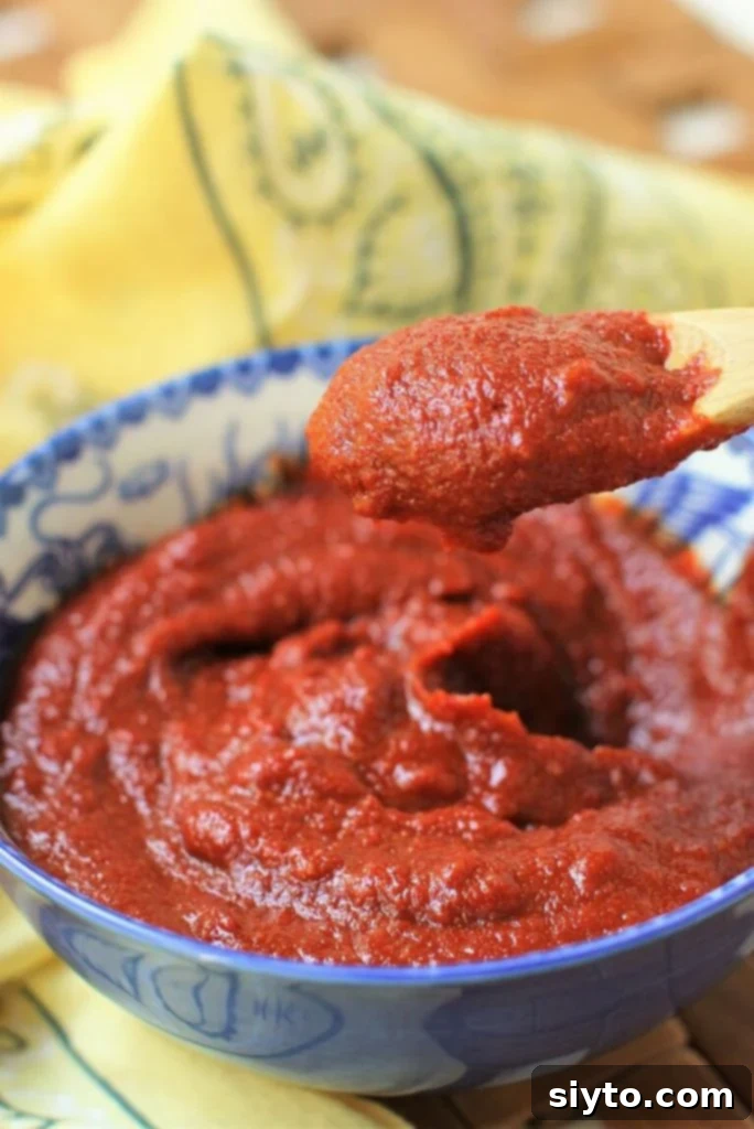 a spoonful of gochujang - shortcut method for the spicy Korean chili paste