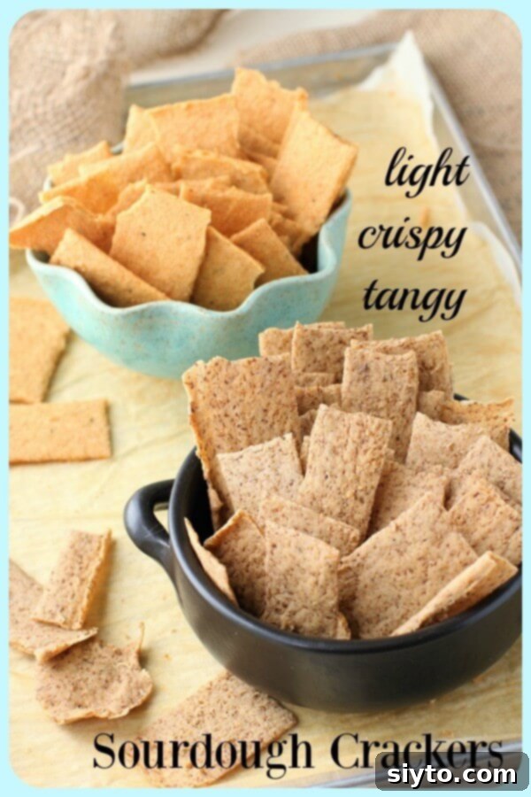 Artisan Gluten Free Sourdough Crackers 12 Amazingly crispy, light, and tangy sourdough crackers (gluten free or regular) in a vertical shot