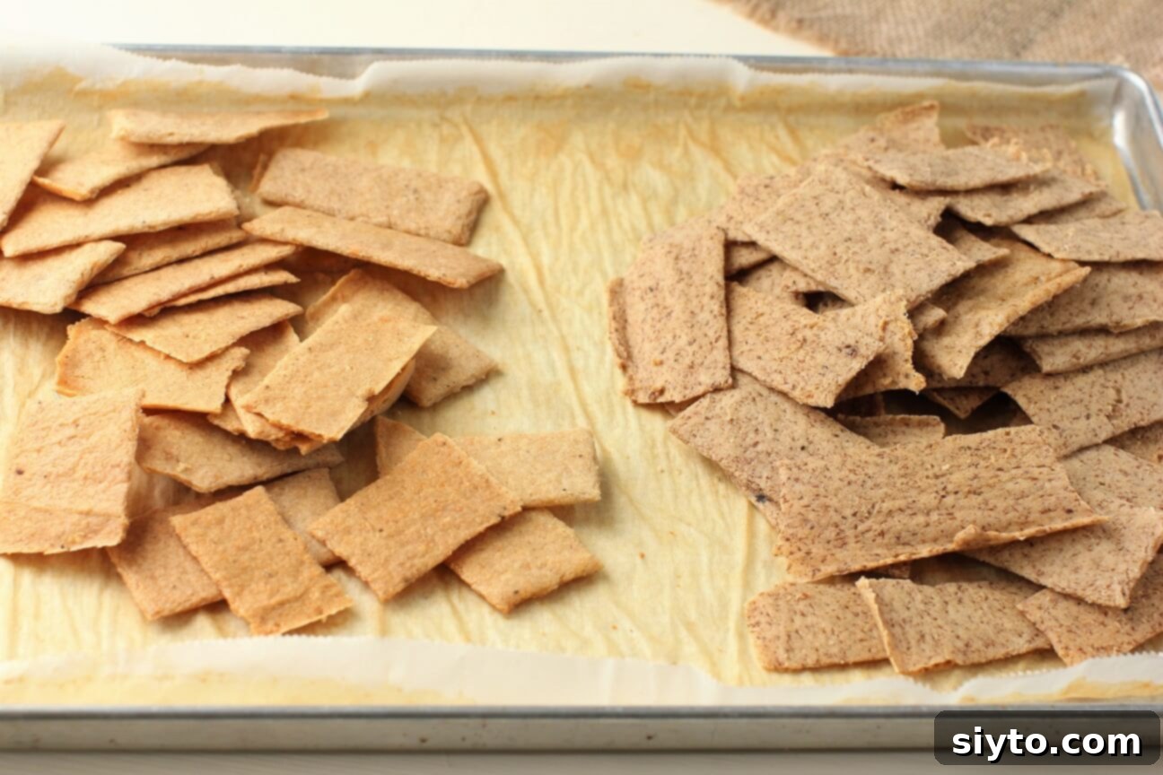 Artisan Gluten Free Sourdough Crackers 4 sourdough crackers piled in the baking sheet, showing golden brown edges