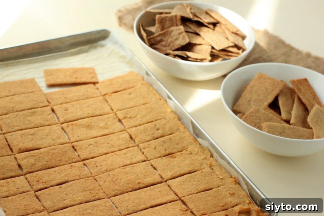Artisan Gluten Free Sourdough Crackers 9 break apart the finished sourdough crackers with various flavor add-ins