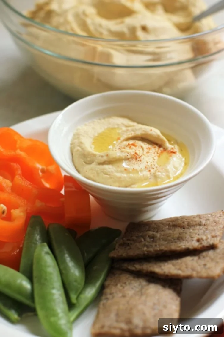 An individual serving of creamy homemade hummus, artfully arranged with an assortment of fresh vegetables and crispy crackers for a personal snack or light meal.