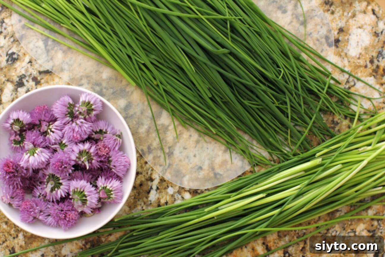 Organized piles of chive blossoms, tougher chive stems, and tender chive leaves, all ready for individual prepping