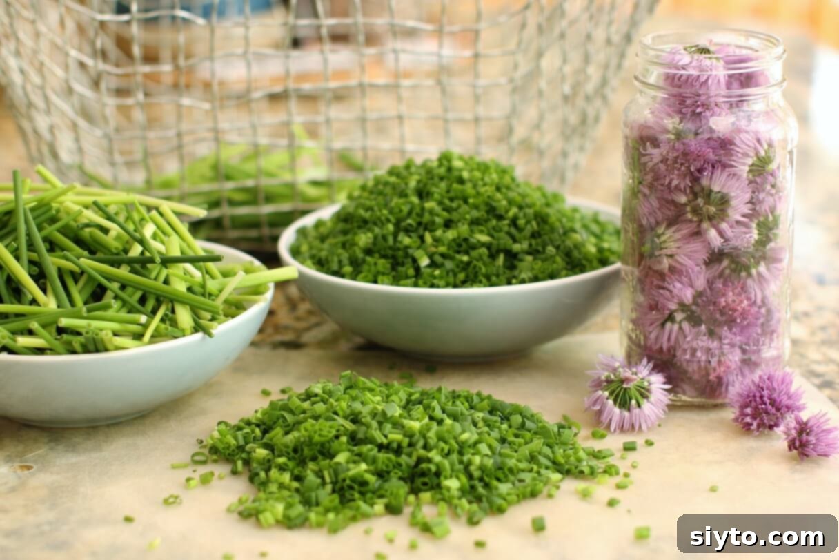 A bowl filled with freshly chopped chives next to a clear jar of vibrant chive blossom vinegar, ready for use
