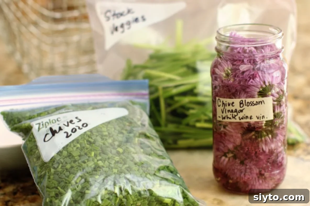 Several freezer bags of chopped chives alongside a jar of freshly made chive blossom vinegar, ready for storage