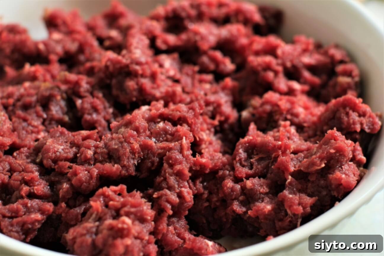a bowl of very lean, dark ground deer meat