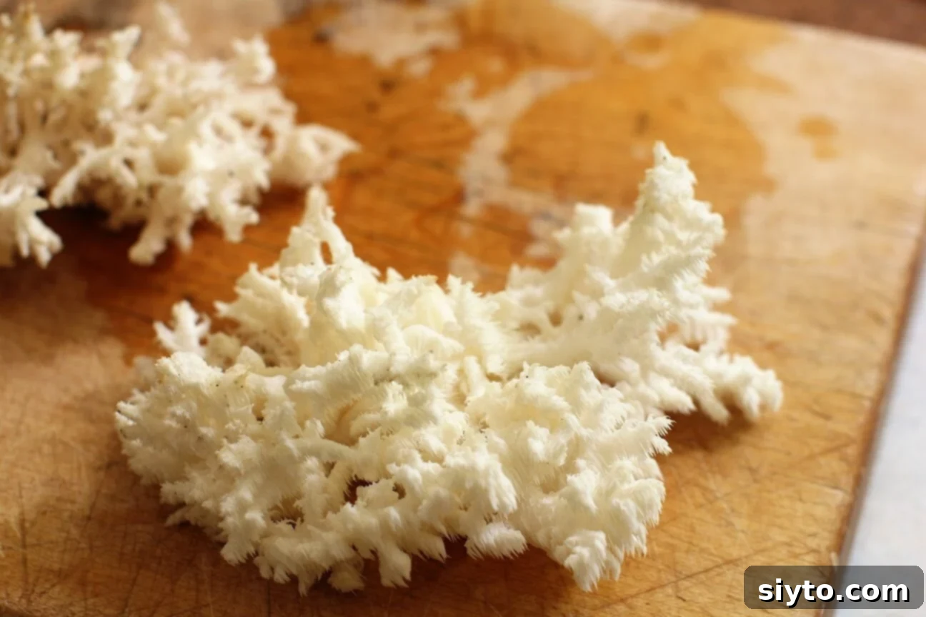 A close-up of a meticulously cleaned Hericium mushroom, showcasing its pristine white color and distinctive coral-like, shaggy texture, ready for cooking.