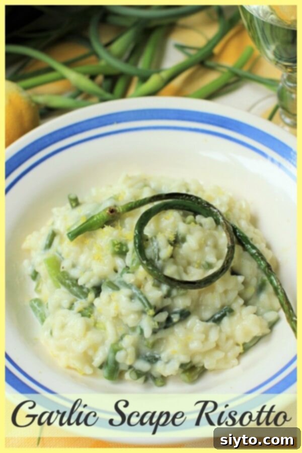Garlic Scape Risotto is creamy and delicious.
