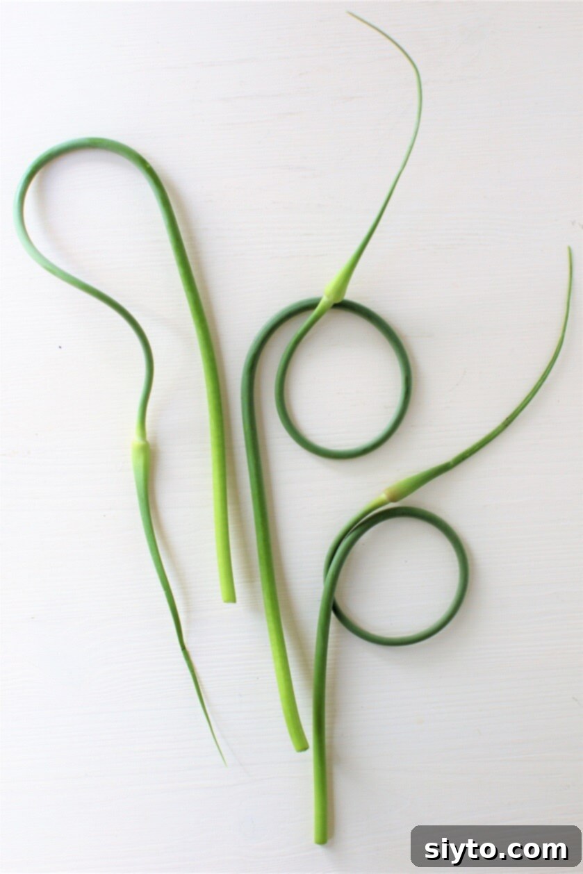 three curling garlic scapes