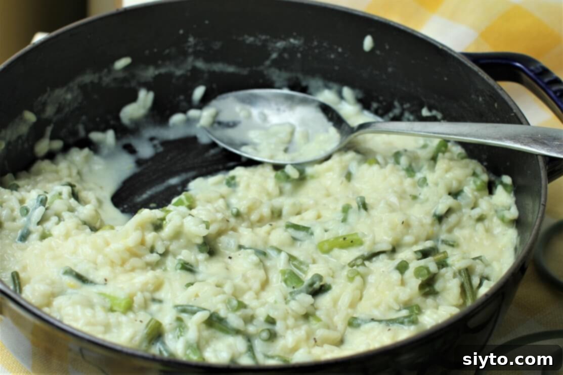 risotto pot with one serving removed