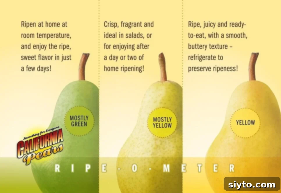 A visual guide illustrating the ripening stages of pears from green to golden yellow
