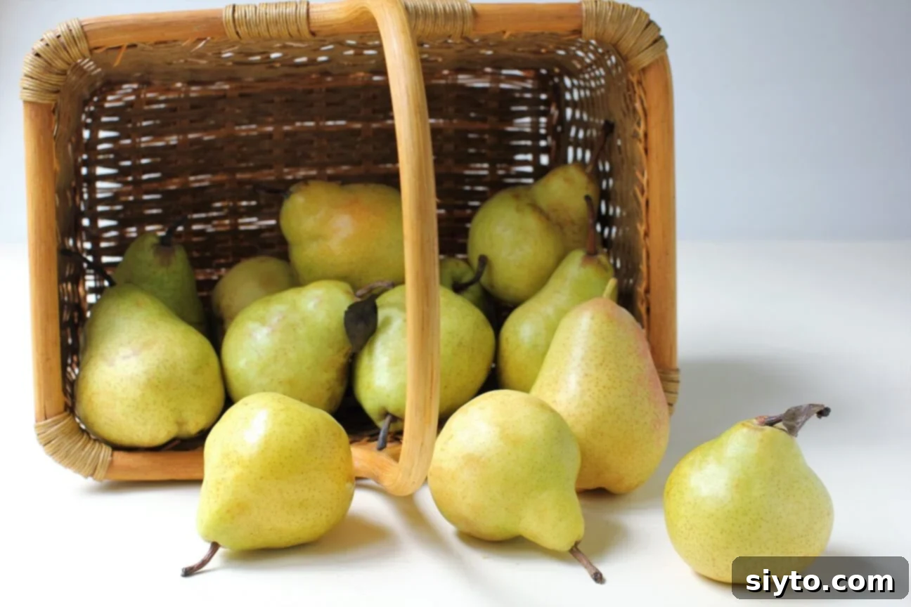 Fresh California pears tumbling out of a rustic basket, showcasing their green-gold color