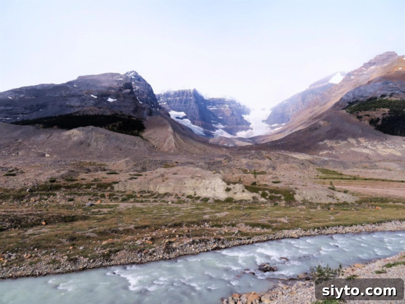 Banff's Best Bites Marinated Flank Steak and Mountain Views 11 Expansive view of the Columbia Icefield, with the Athabasca Glacier visible in the distant mountain landscape