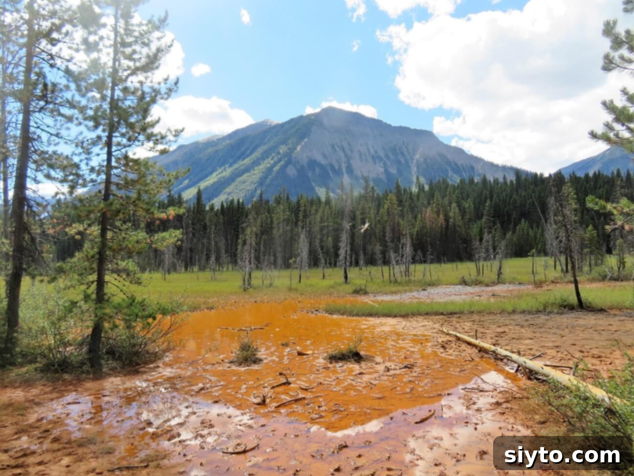 Banff's Best Bites Marinated Flank Steak and Mountain Views 19 Vibrant ochre flats stretching out before the trail leading up to the Paint Pots in Kootenay National Park
