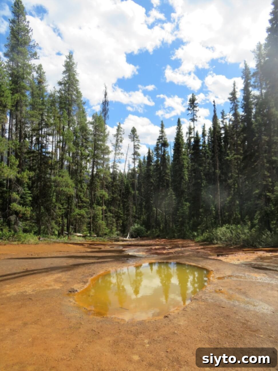 Banff's Best Bites Marinated Flank Steak and Mountain Views 21 A vibrant, colorful Paint Pot pool at the summit of the hike in Kootenay National Park