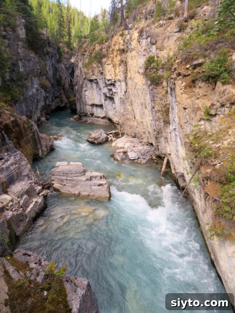 Banff's Best Bites Marinated Flank Steak and Mountain Views 22 Rushing whitewater and rocky formations near the beginning of the Marble Canyon trail, highlighting its dramatic landscape