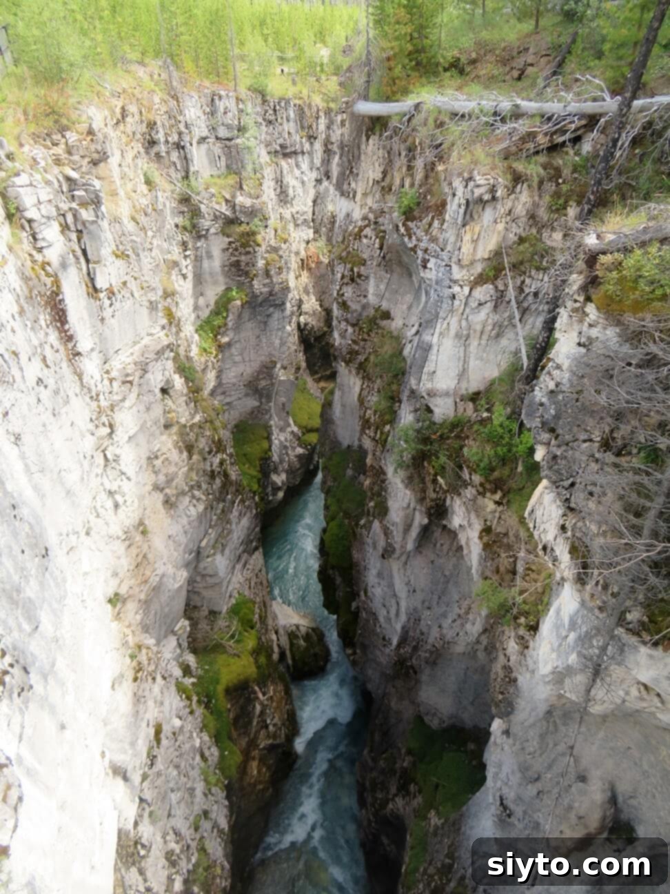 Banff's Best Bites Marinated Flank Steak and Mountain Views 23 Looking directly down into the dramatic depths of Marble Canyon, showcasing its impressive geological formations