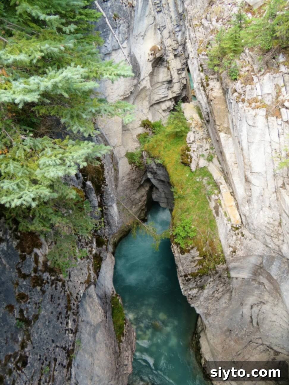 Banff's Best Bites Marinated Flank Steak and Mountain Views 24 Vibrant turquoise water flowing deep within the carved rock formations of Marble Canyon, a stunning natural wonder