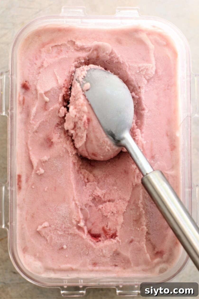 scooping up some of the rhubarb ice cream