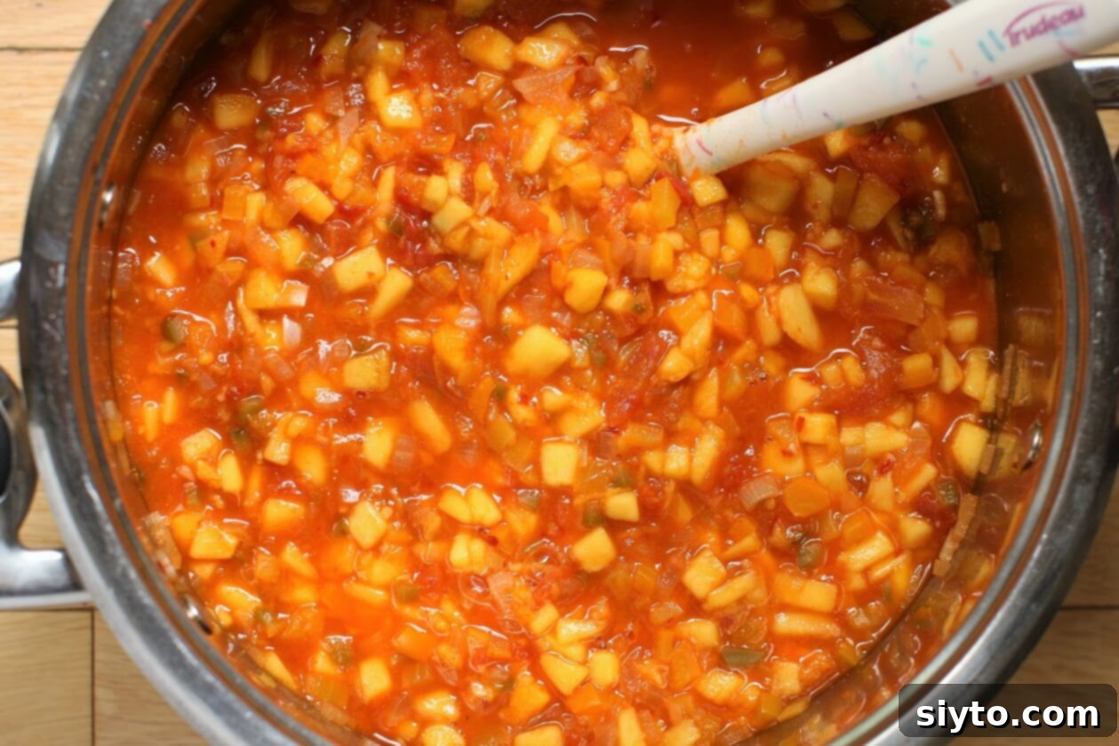 the potful of all the ingredients for the salsa