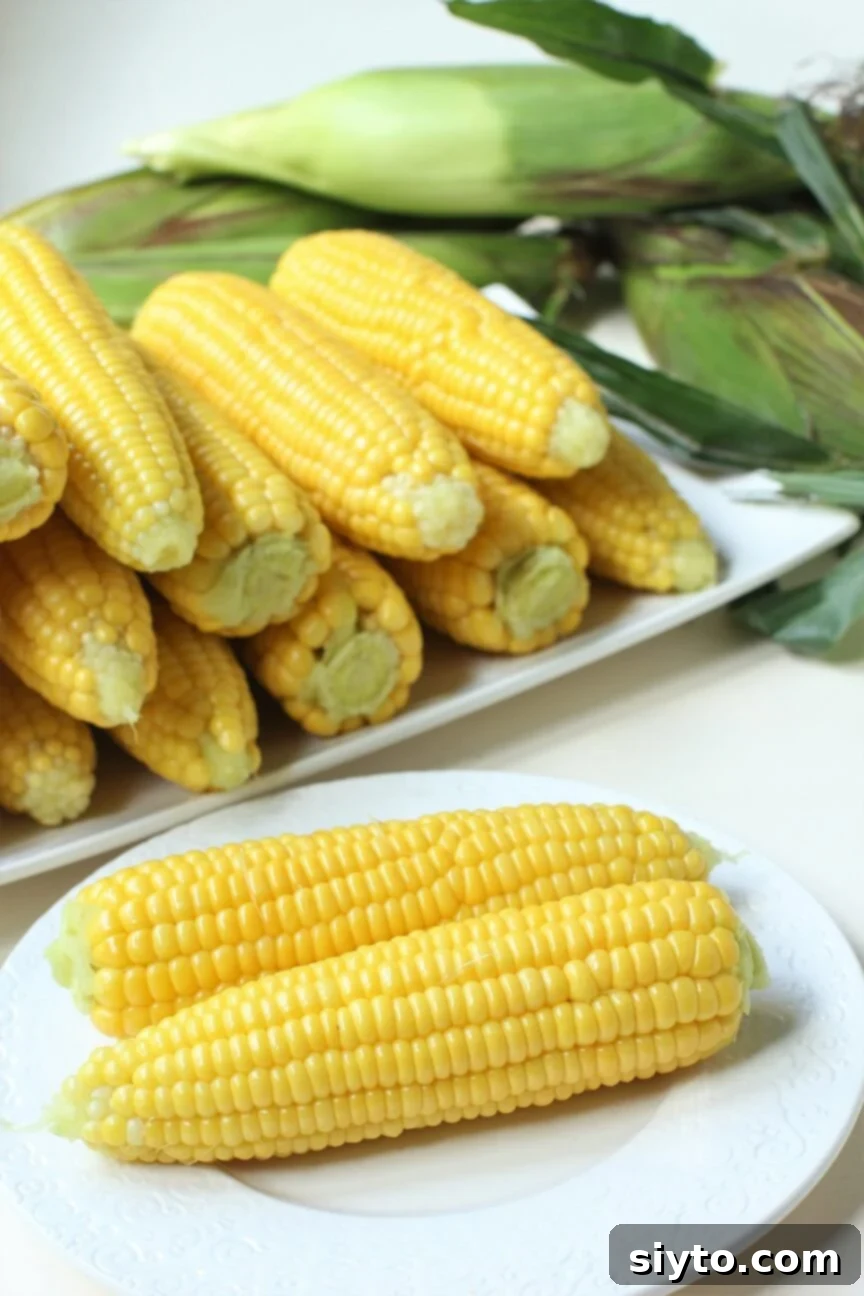 Mısır Nasıl Dondurulur? Koçanlı veya Tane Halinde Doğru Saklama Yöntemleri 5 pile of cooked cobs, and two on the plate