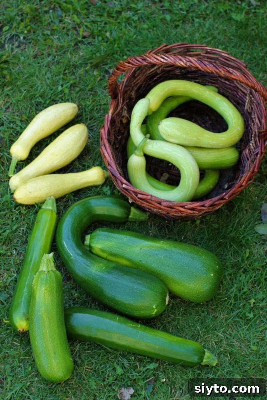 A charming basket filled with trumpet zucchini resting on the grass, flanked by a large green zucchini and a yellow squash