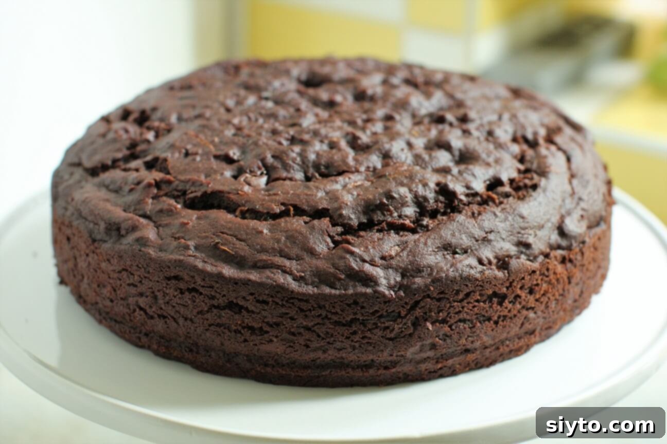 A beautiful image of a plain, unglazed chocolate zucchini cake, highlighting its rich color and inviting texture