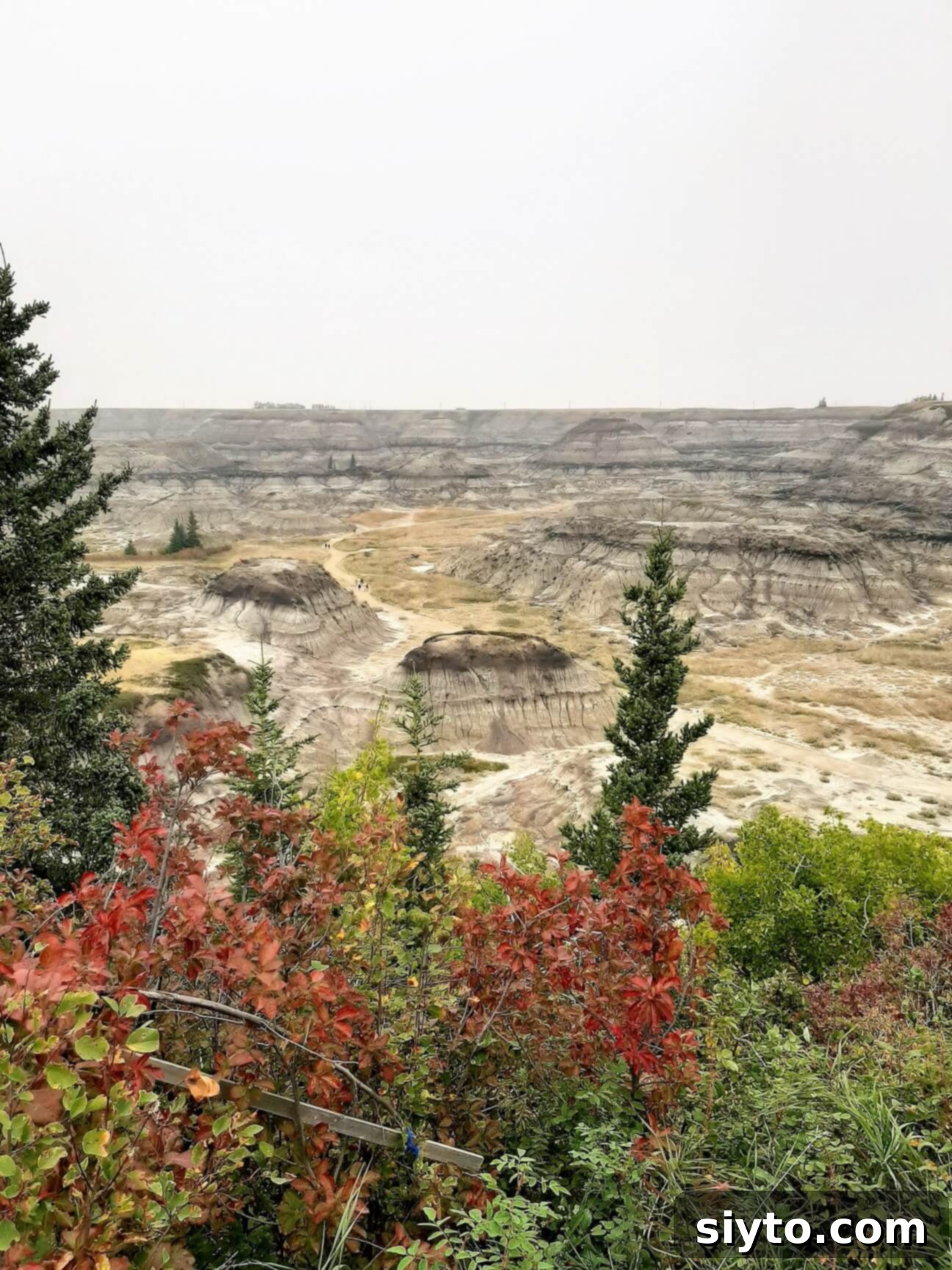 A panoramic autumn view of Horseshoe Canyon from a high lookout point, showcasing the dramatic eroded landscape with hints of fall colors.