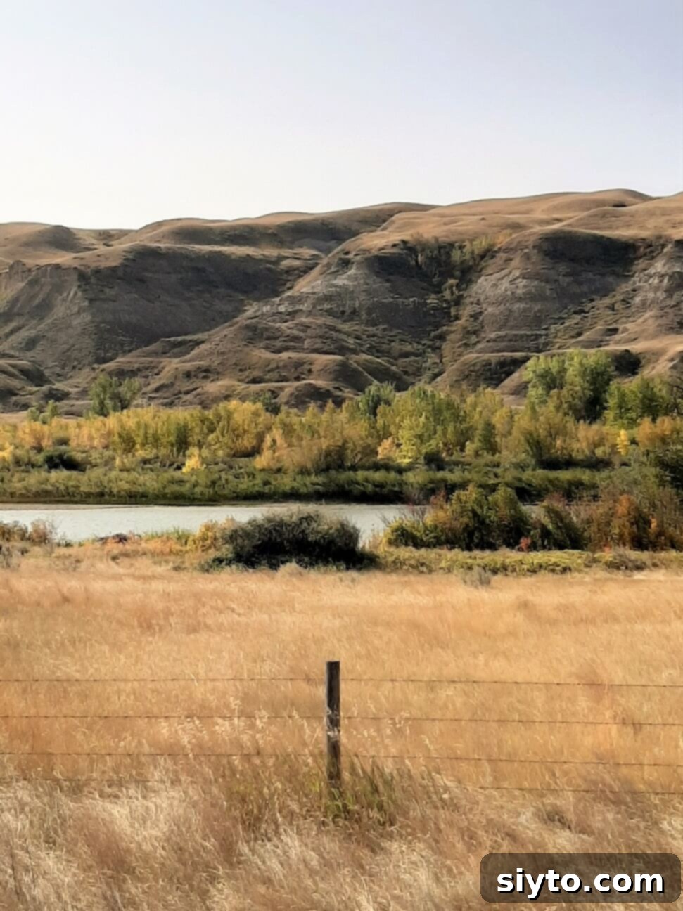 A scenic drive along the Red Deer River valley in early autumn, with trees beginning to show fall colors and dramatic badlands formations in the distance.