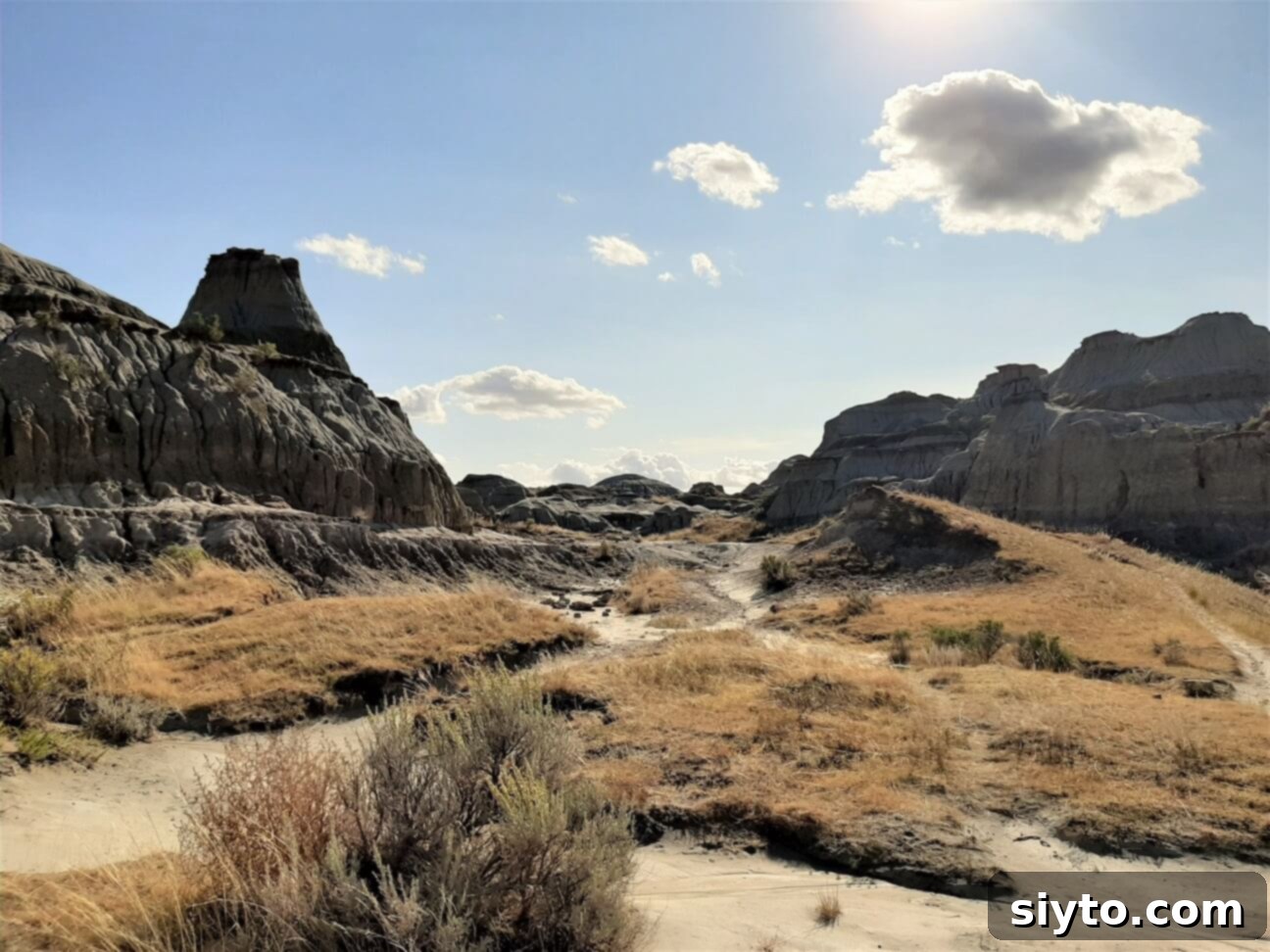 Stunning eroded landforms and geological structures within Dinosaur Provincial Park, highlighting the unique desert-like landscape of Alberta's Badlands.