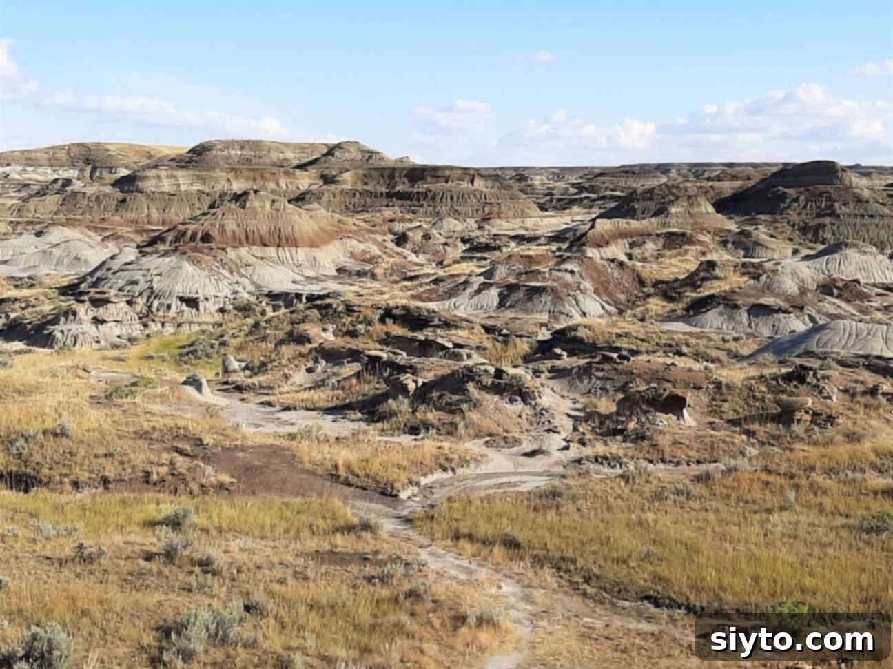A grand, sweeping vista of Alberta's Badlands within Dinosaur Provincial Park, revealing countless eroded formations under a broad sky, resembling a mini Grand Canyon.