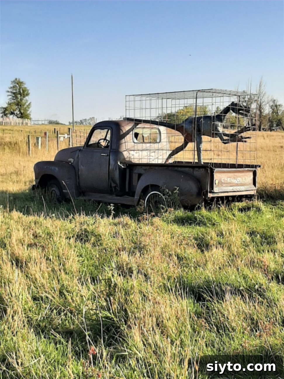 An old pickup truck with a caged dinosaur replica in its bed, driving down a rural road, humorously labeled 'Jurassic Cargo'.