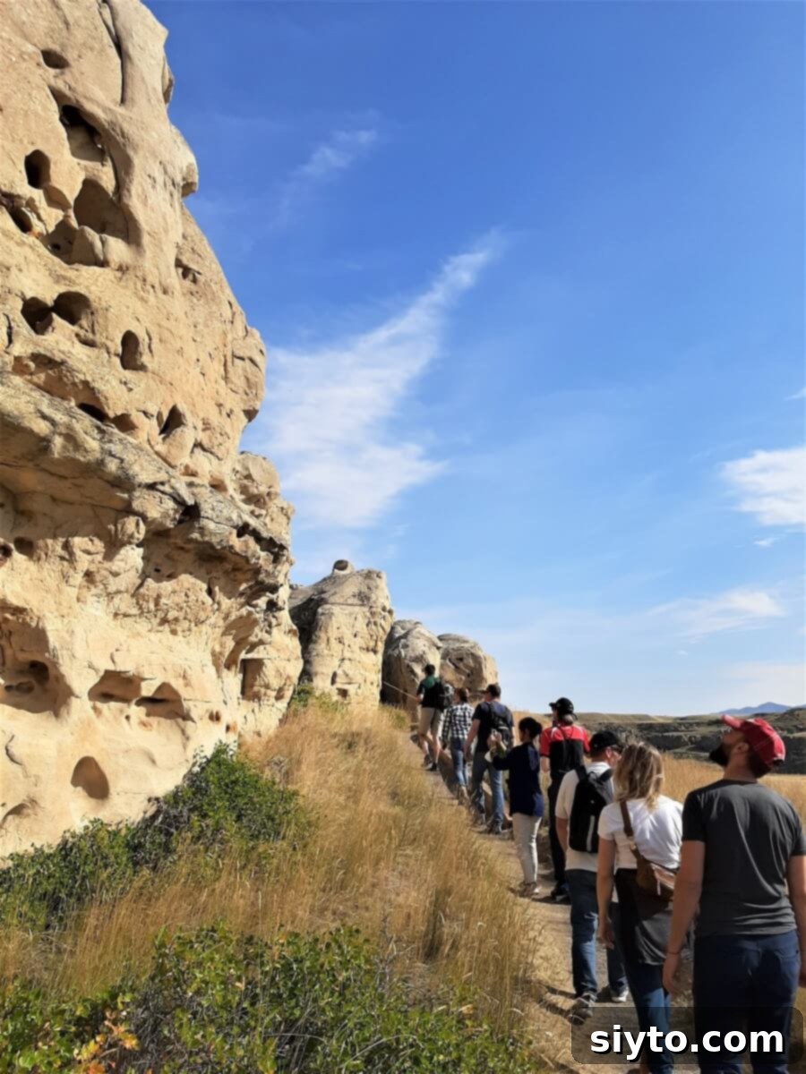 A guided walking tour group observing ancient petroglyphs carved into sandstone walls at Writing-on-Stone Provincial Park, learning about Indigenous culture and history.