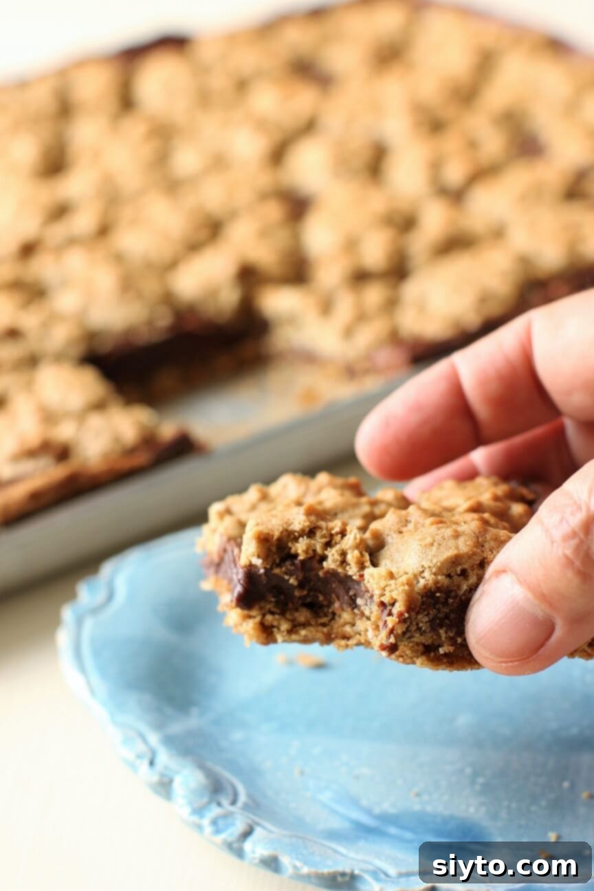 A hand lifting an oat fudge bar for another bite