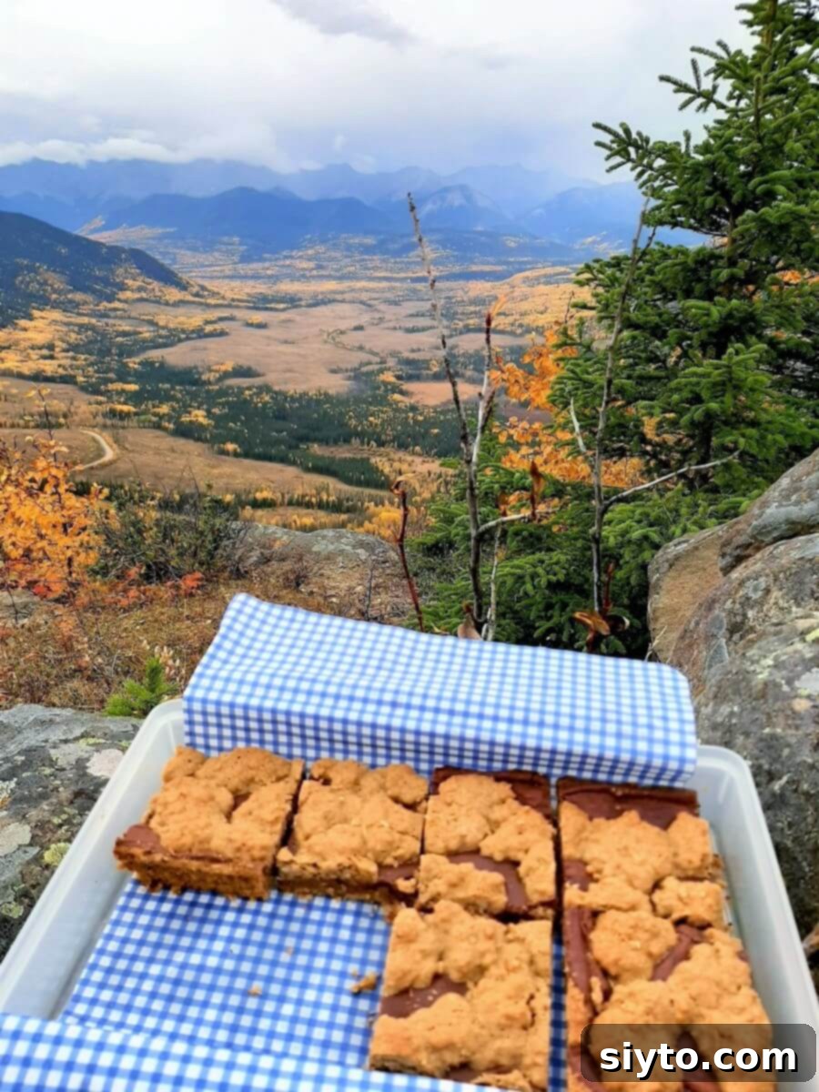 A container of Oat Fudge Bars at the top of the Athabasca Lookout with the scenic valley view in the background