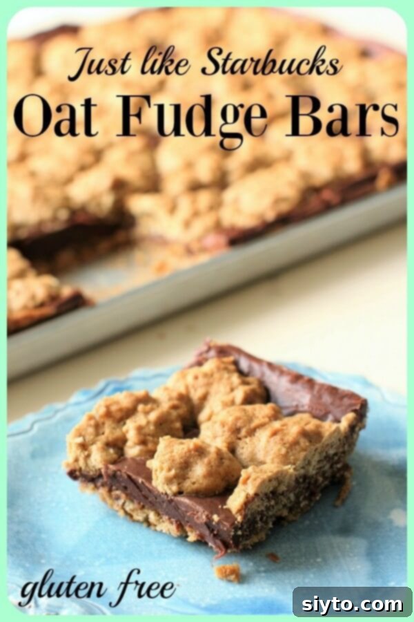 Just like Starbucks Oat Fudge Bars are deliciously decadent and easy to make at home