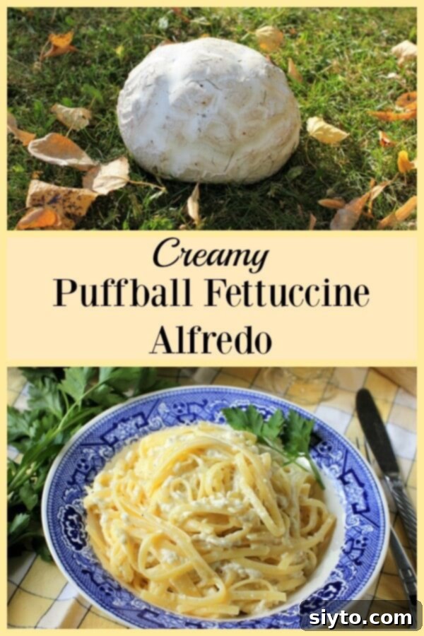 A vibrant vertical image showing how to identify, cook, and transform a giant puffball mushroom into a creamy Fettuccine Alfredo