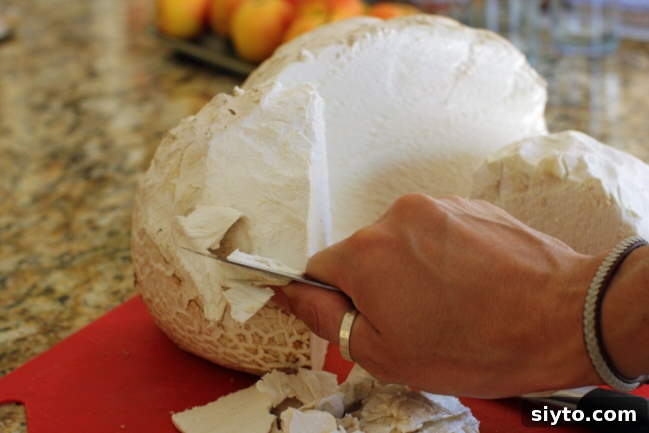 A person, presumably the author's son, carefully peeling the skin off a large giant puffball mushroom