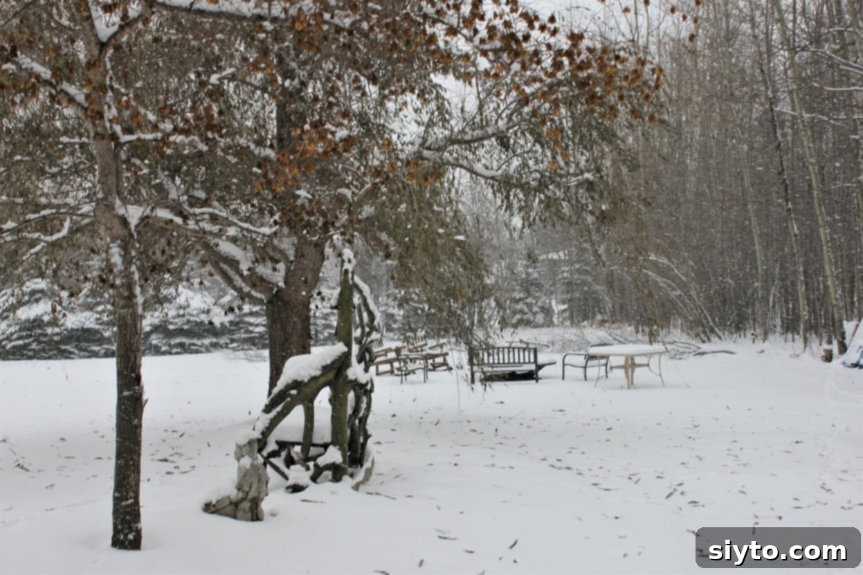 Snow swirling gracefully around a yard, creating a picturesque winter scene.