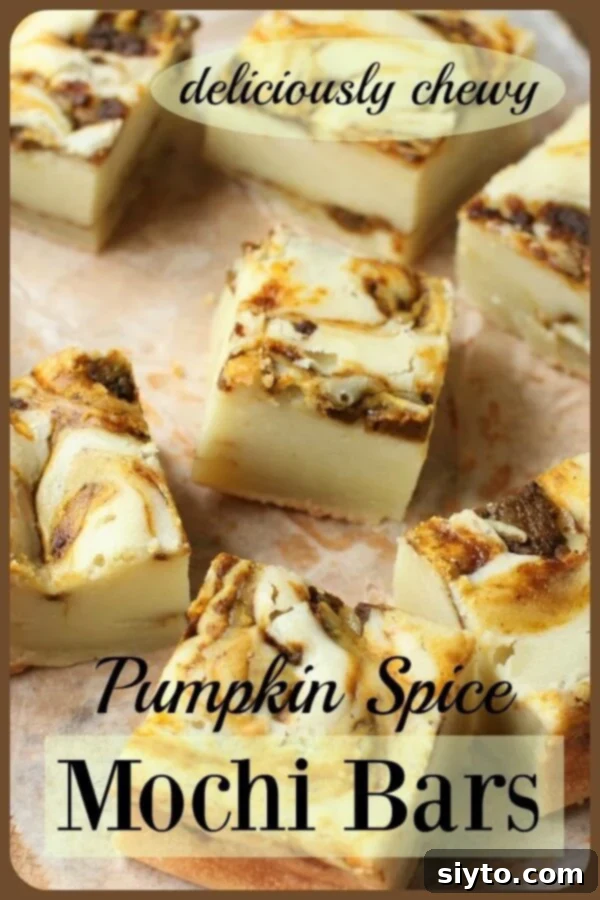 Pumpkin Mochi Bars Banner