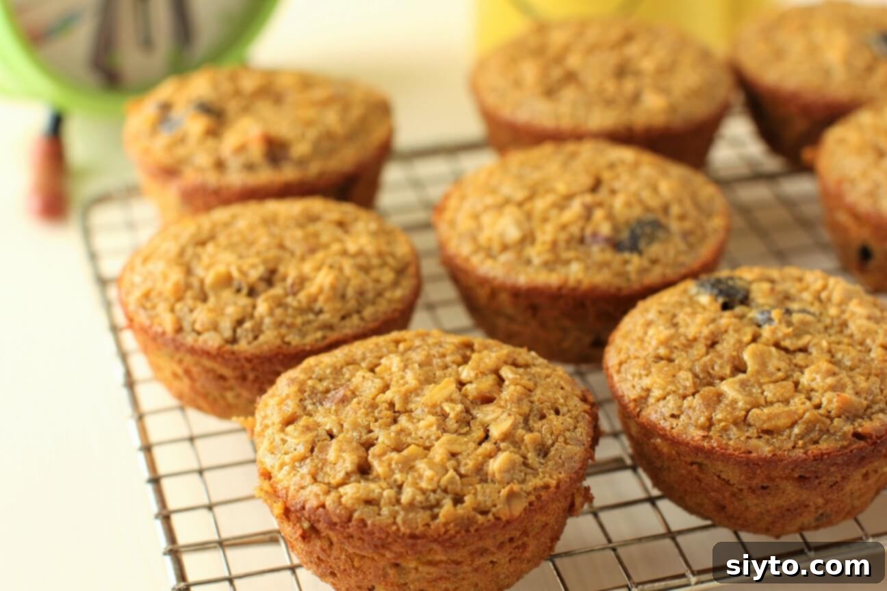 Handheld Harvest Pumpkin Oatmeal Muffins 9 pumpkin baked oatmeal muffins cooling on a rack, ready to devour