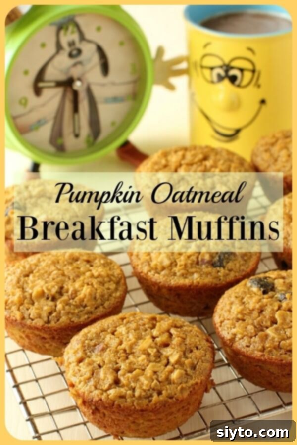 Handheld Harvest Pumpkin Oatmeal Muffins 10 Pumpkin Baked Oatmeal Muffins Banner