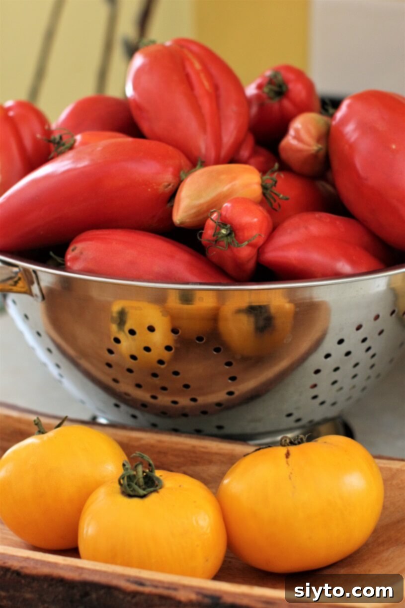 Classic German Tomato Salad 5 A colander full of vibrant red tomatoes and a wooden bowl with yellow tomatoes, showcasing a bountiful harvest
