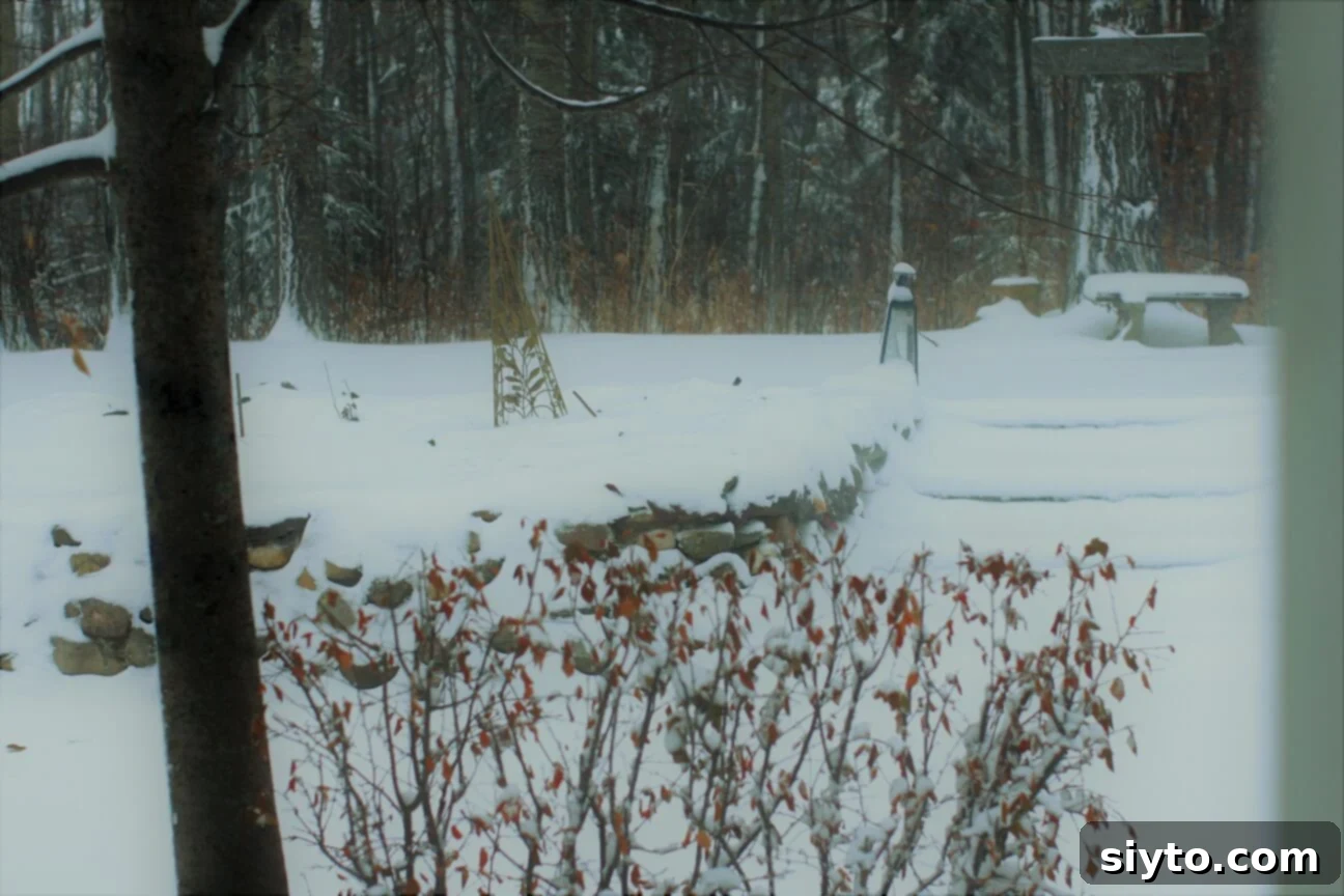 Classic German Tomato Salad 7 A picturesque snowy winter scene viewed from a kitchen window, contrasting with the warmth of the tomato salad