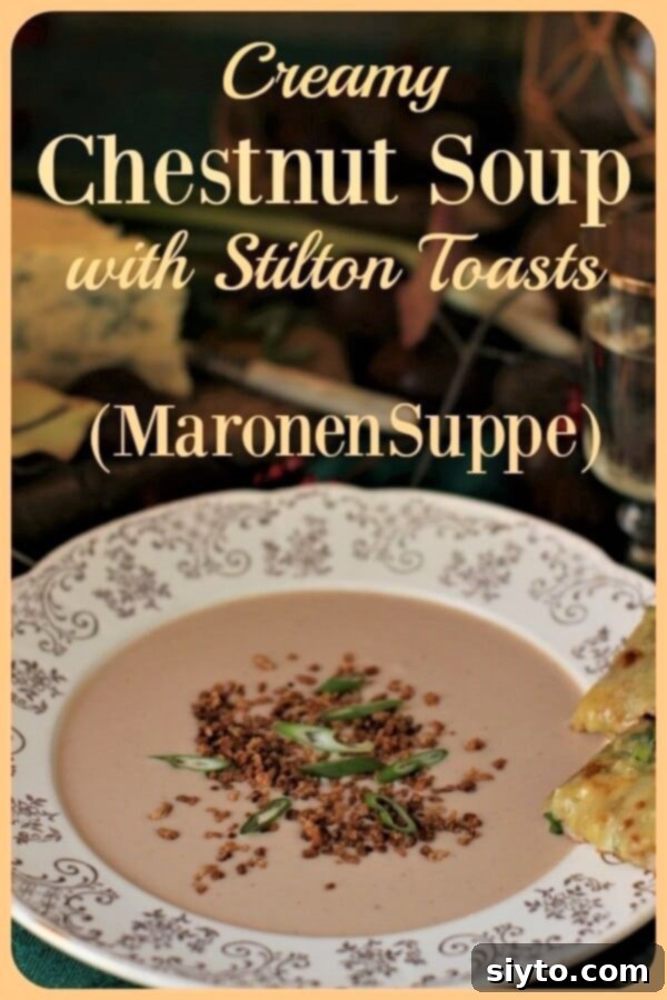 Chestnut Soup Banner