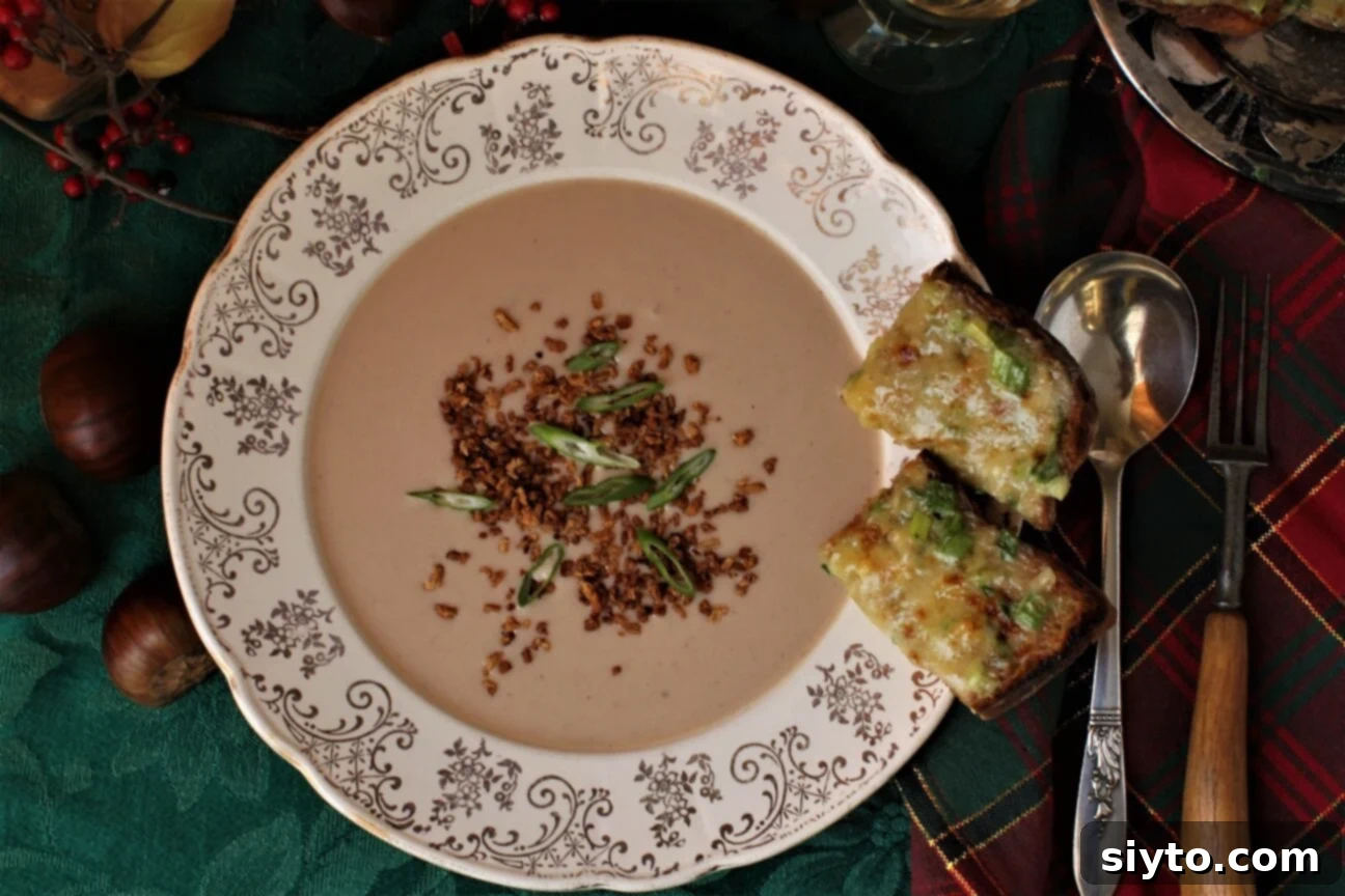 top down view of a bowl of chestnut soup