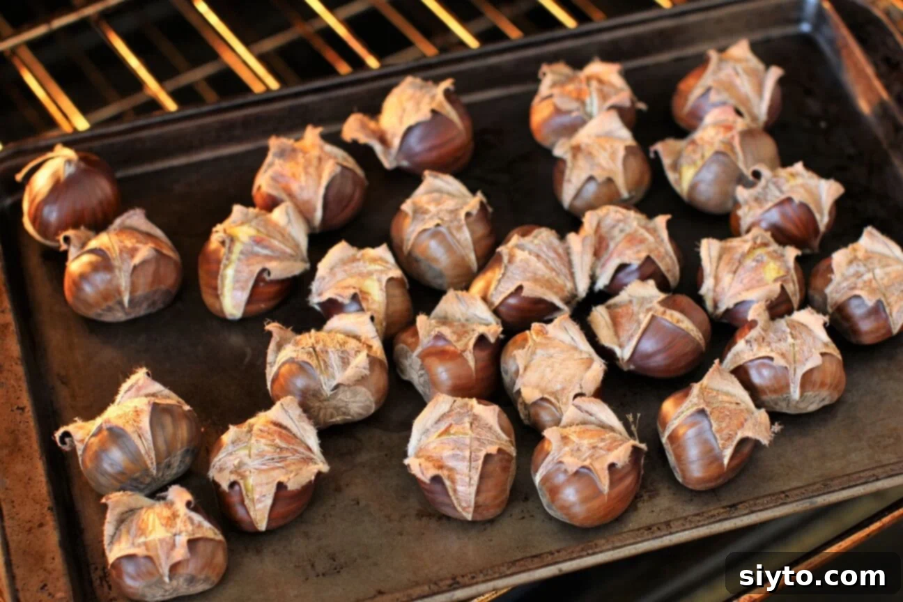 pan of chestnuts on the oven rack, shells split open