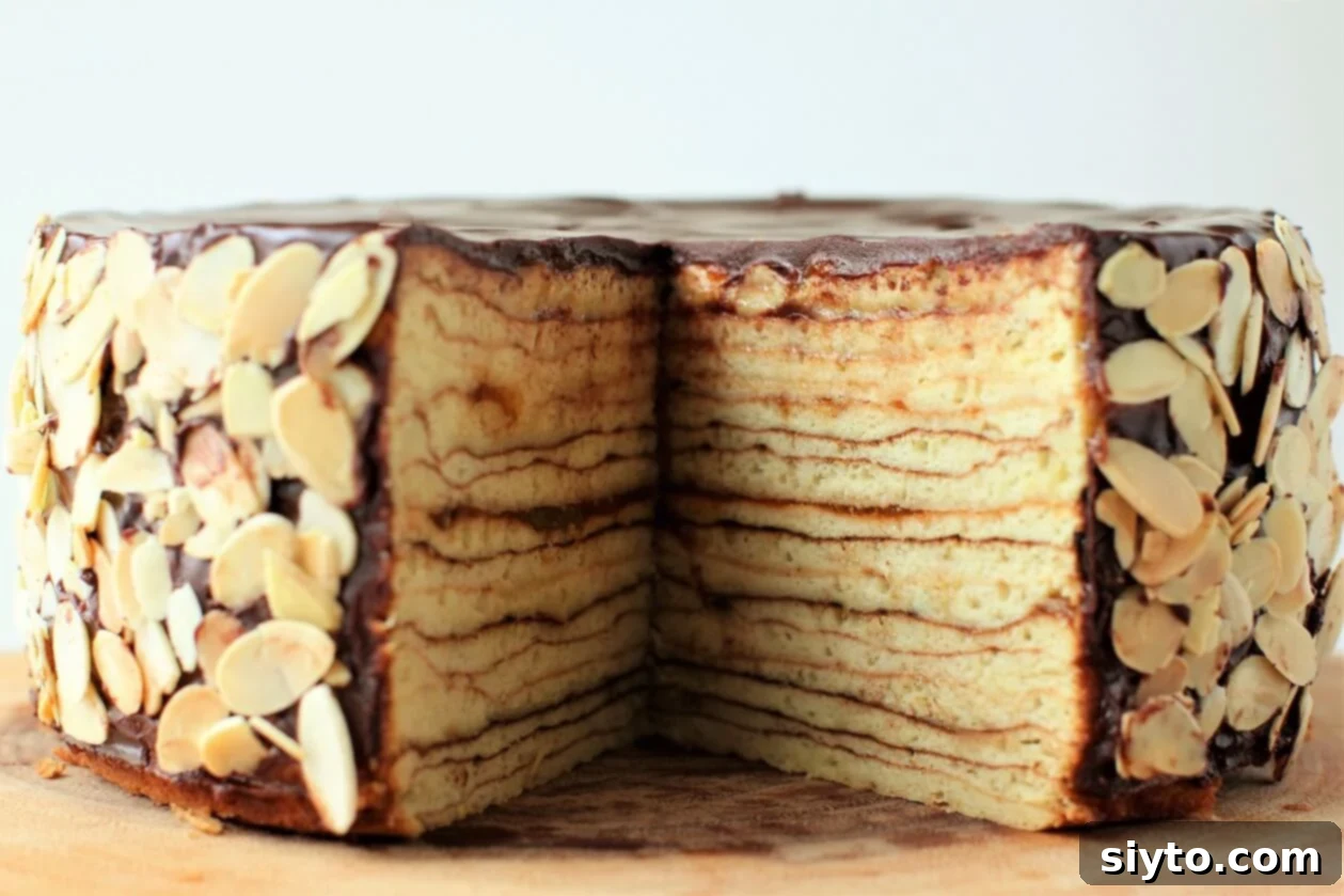 a triangle slab cut out of the baumkuchen so you can see the layers